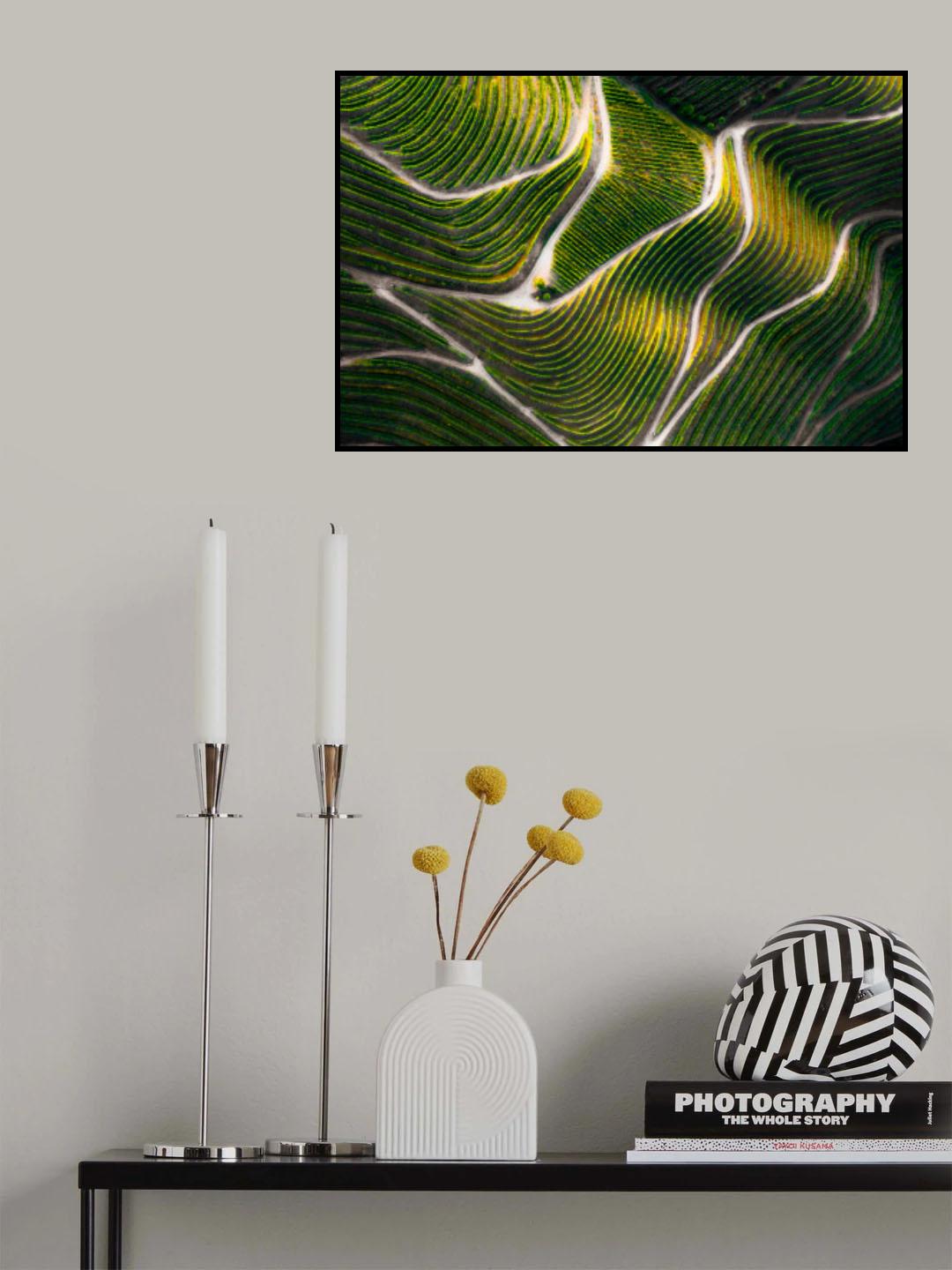 Douro Valley Poster och Canvastavla