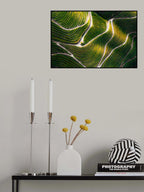 Douro Valley Poster och Canvastavla
