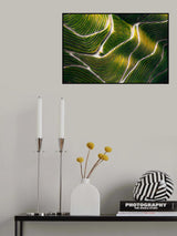Douro Valley Poster och Canvastavla