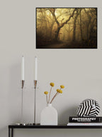 Forest Poster och Canvastavla