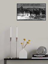Splash Poster och Canvastavla