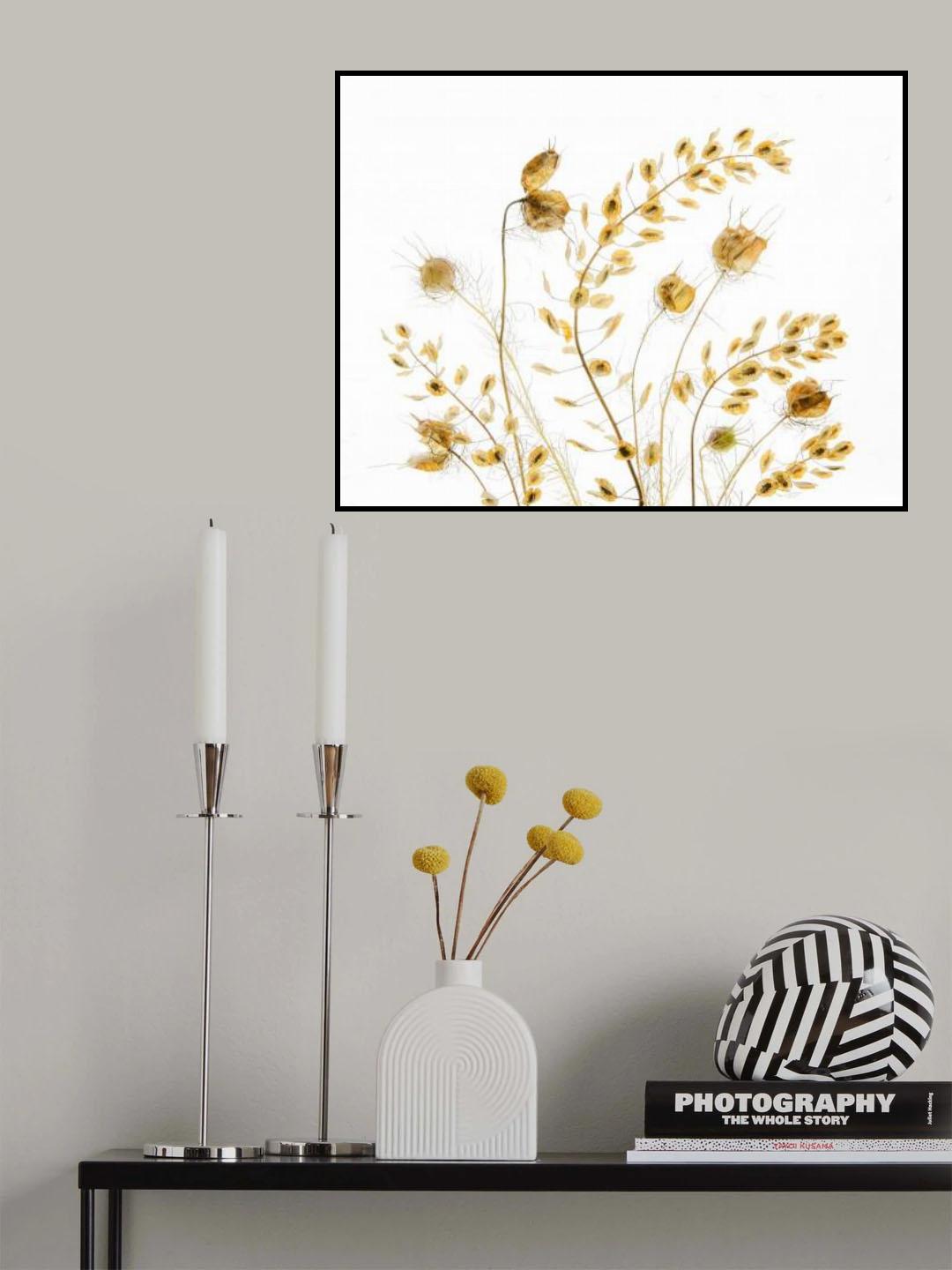 Dry Plants Poster och Canvastavla