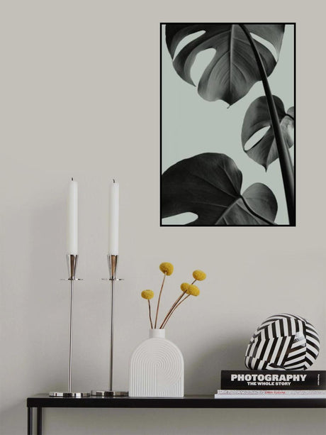 Monstera Teal 03 Poster och Canvastavla