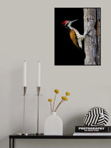 The Flame Poster och Canvastavla