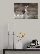 Dancing Poster och Canvastavla