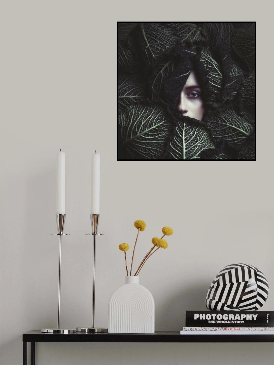 cabbage Poster och Canvastavla