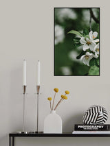 Spring Series - Apple Blossoms in the Rain 5/12 Poster och Canvastavla