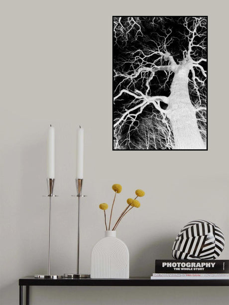Oak Tree 01 Poster och Canvastavla