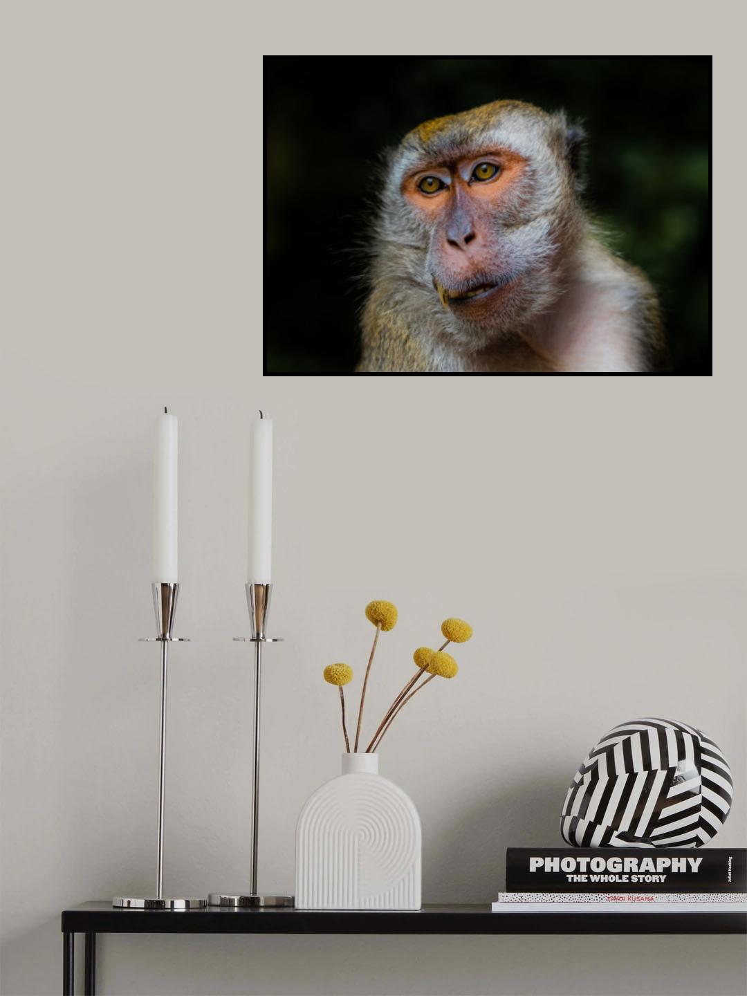 Mr. Canine Poster och Canvastavla