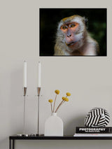 Mr. Canine Poster och Canvastavla