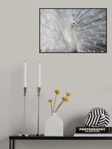 As white as snow Poster och Canvastavla