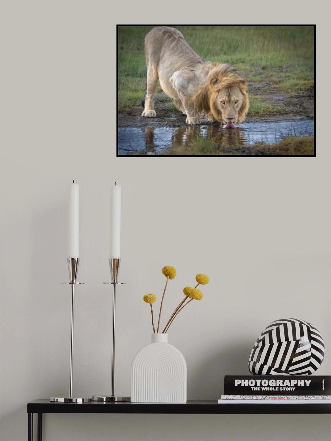 Thirsty Poster och Canvastavla