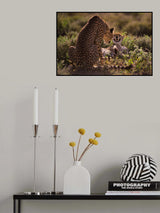 Stay Away Poster och Canvastavla