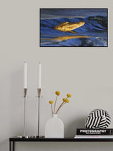 Crocodile Surfing in Sunset Poster och Canvastavla