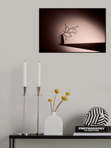 TriplleD Poster och Canvastavla