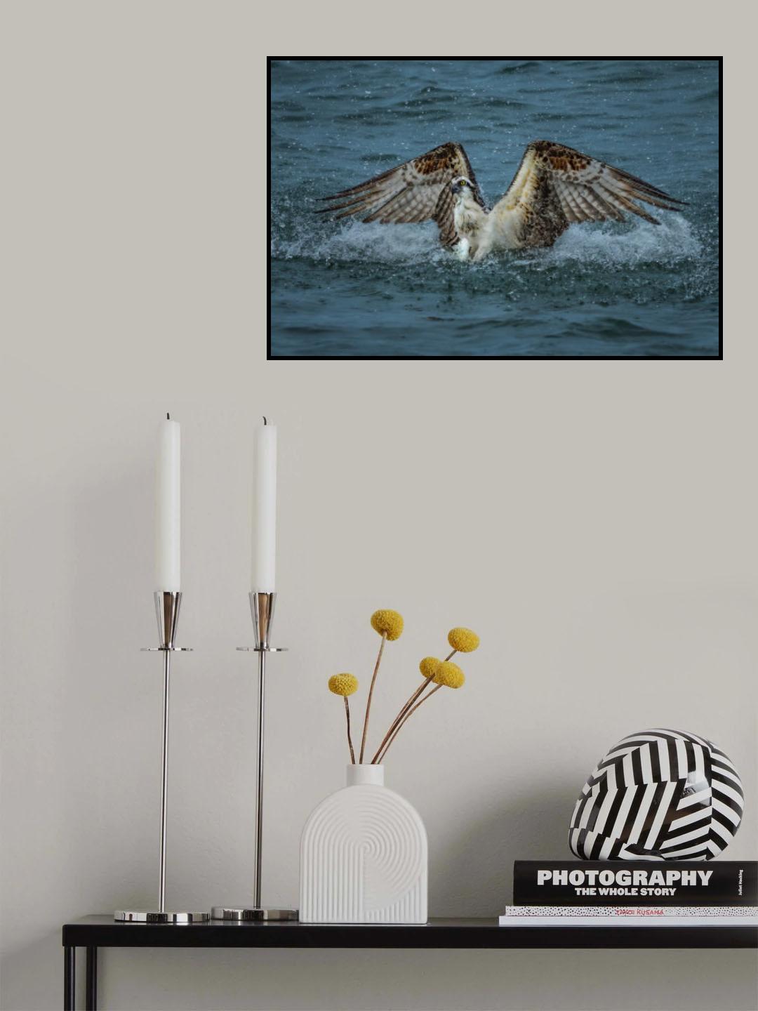 Catch and Take Off. Poster och Canvastavla