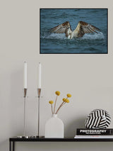 Catch and Take Off. Poster och Canvastavla