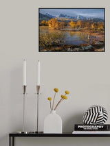 Land of Trolls IV Poster och Canvastavla
