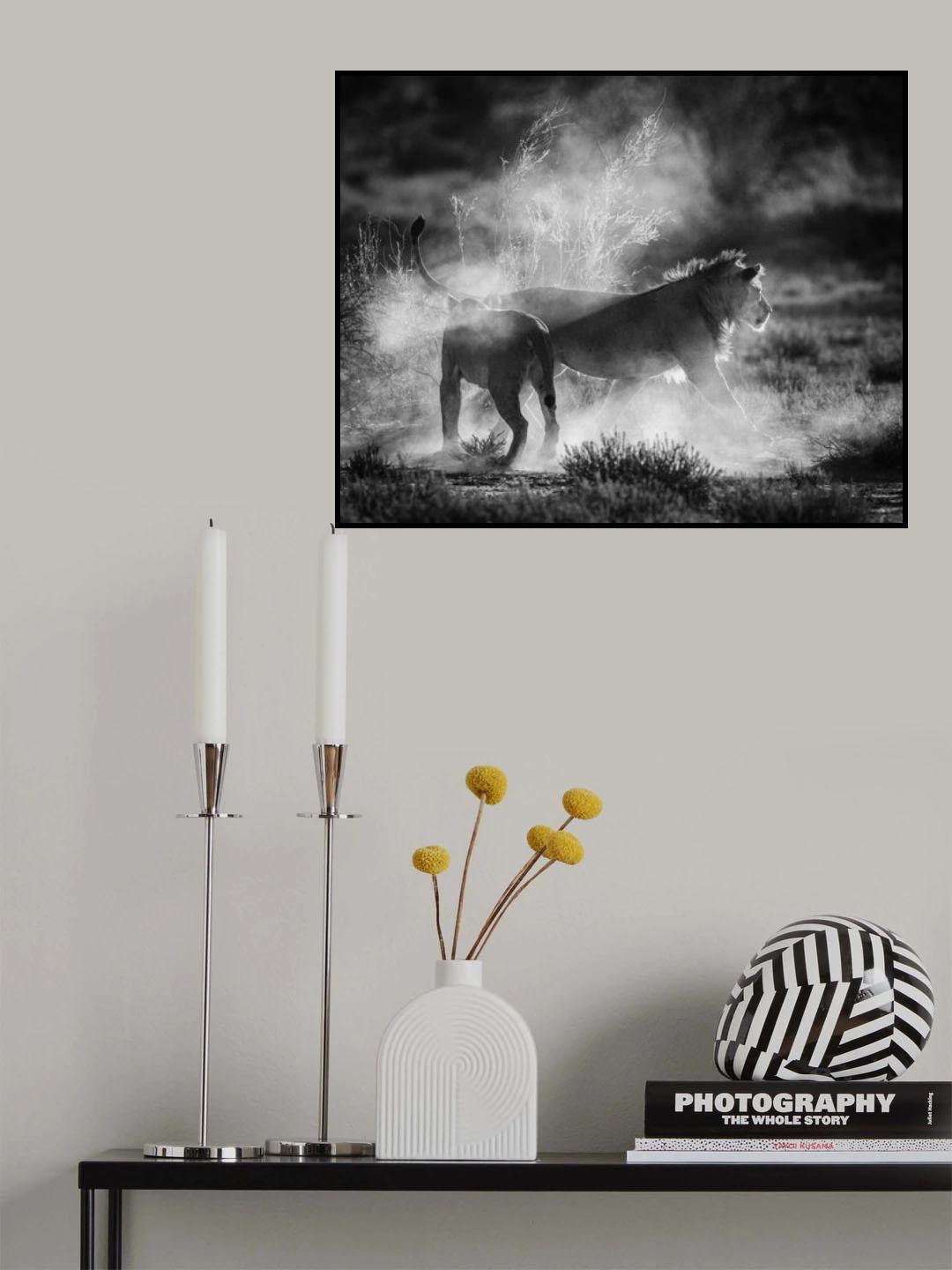 DUST CATS Poster och Canvastavla