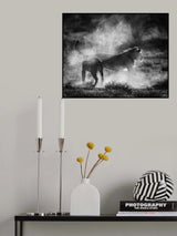 DUST CATS Poster och Canvastavla