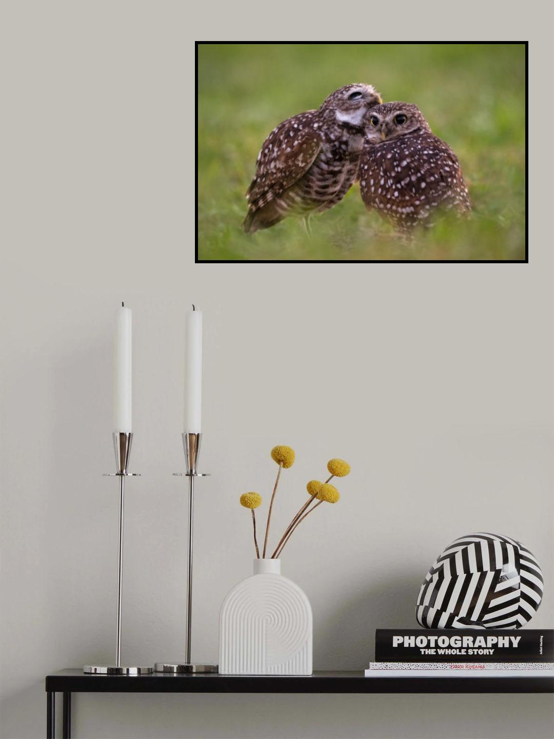 LOVE Poster och Canvastavla
