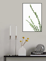 Little green branches Poster och Canvastavla