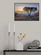 Heart Poster och Canvastavla