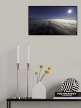 fly Poster och Canvastavla