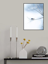 Which road to take... Poster och Canvastavla