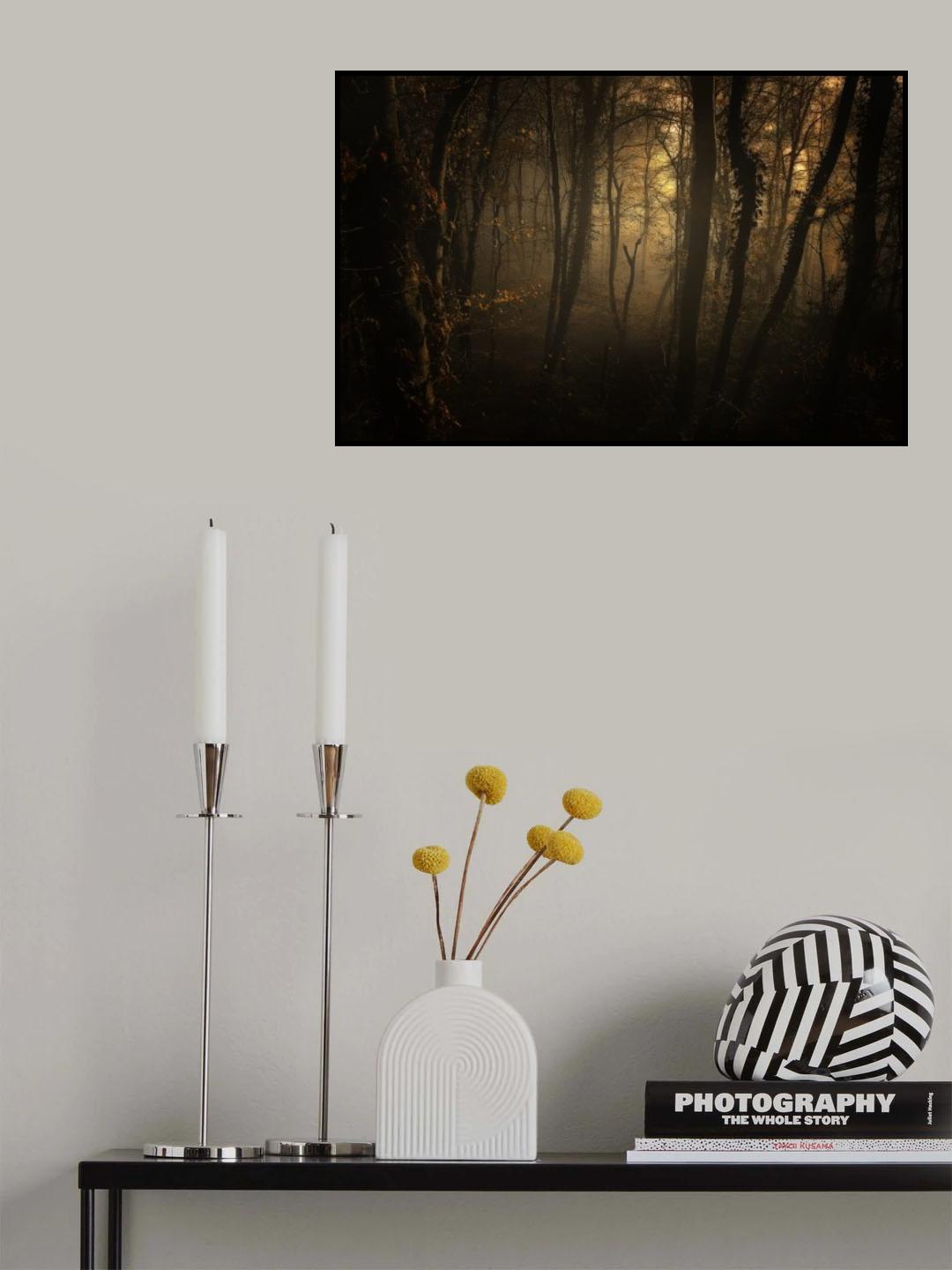 Late Afternoon Poster och Canvastavla