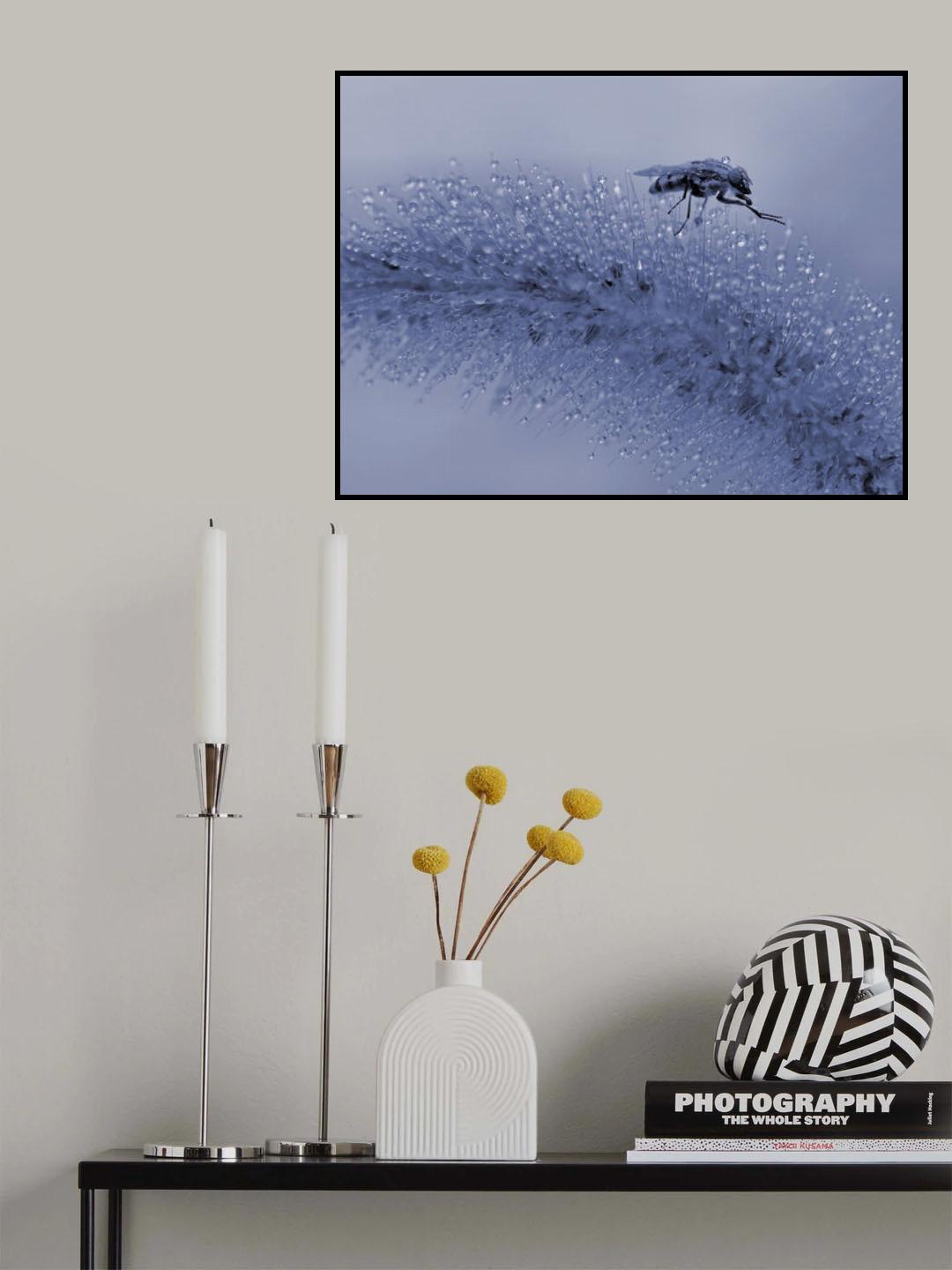 Guardian of the pearls of diamonds... Poster och Canvastavla