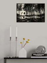 Sunny day Poster och Canvastavla
