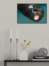 buddy Poster och Canvastavla