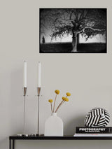 alone Poster och Canvastavla