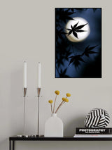 Color of Japan Poster och Canvastavla