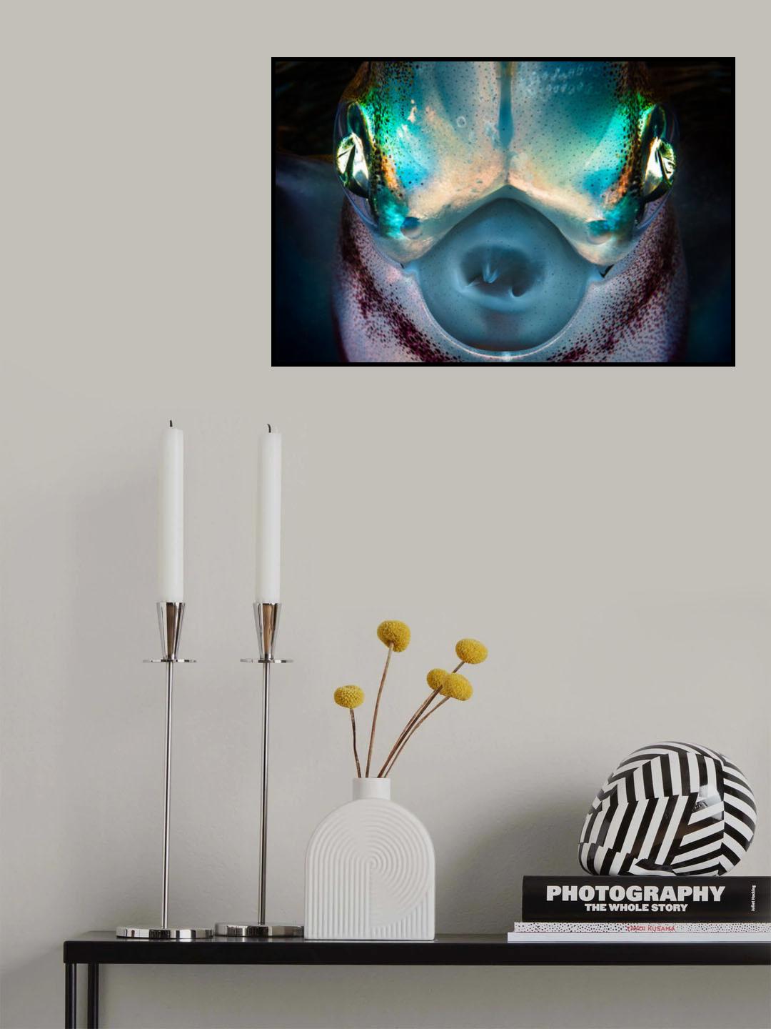 Squid detail Poster och Canvastavla