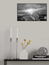 COMTEMPLATING THE PELICAN Poster och Canvastavla