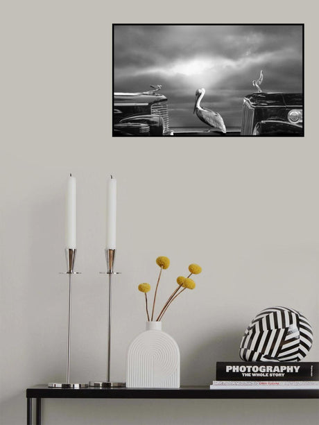 COMTEMPLATING THE PELICAN Poster och Canvastavla