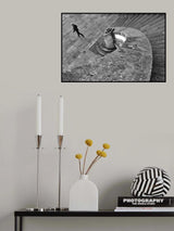 Building anatomy Poster och Canvastavla