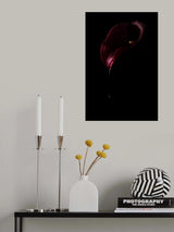 Dripping red Poster och Canvastavla