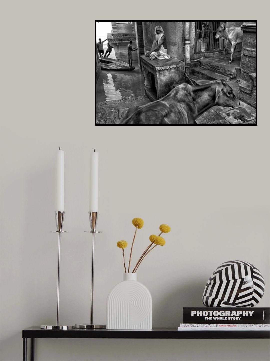 Life at Stairs Poster och Canvastavla