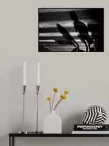 Poster och Canvastavla