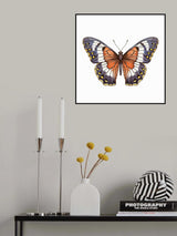 Butterfly 17 Poster och Canvastavla