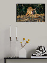 Poster och Canvastavla