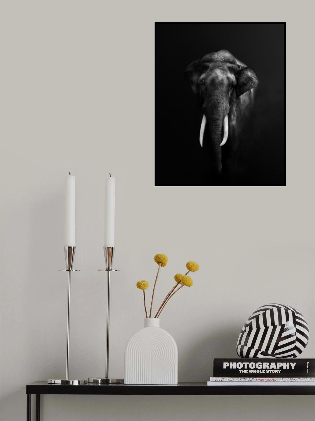 Elephant Portrait Poster och Canvastavla