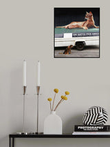 amico!!! Poster och Canvastavla