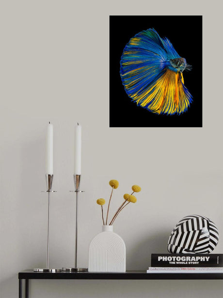 Yellow &amp; Blue Poster och Canvastavla