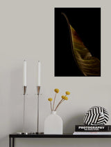 Part of a leaf Poster och Canvastavla
