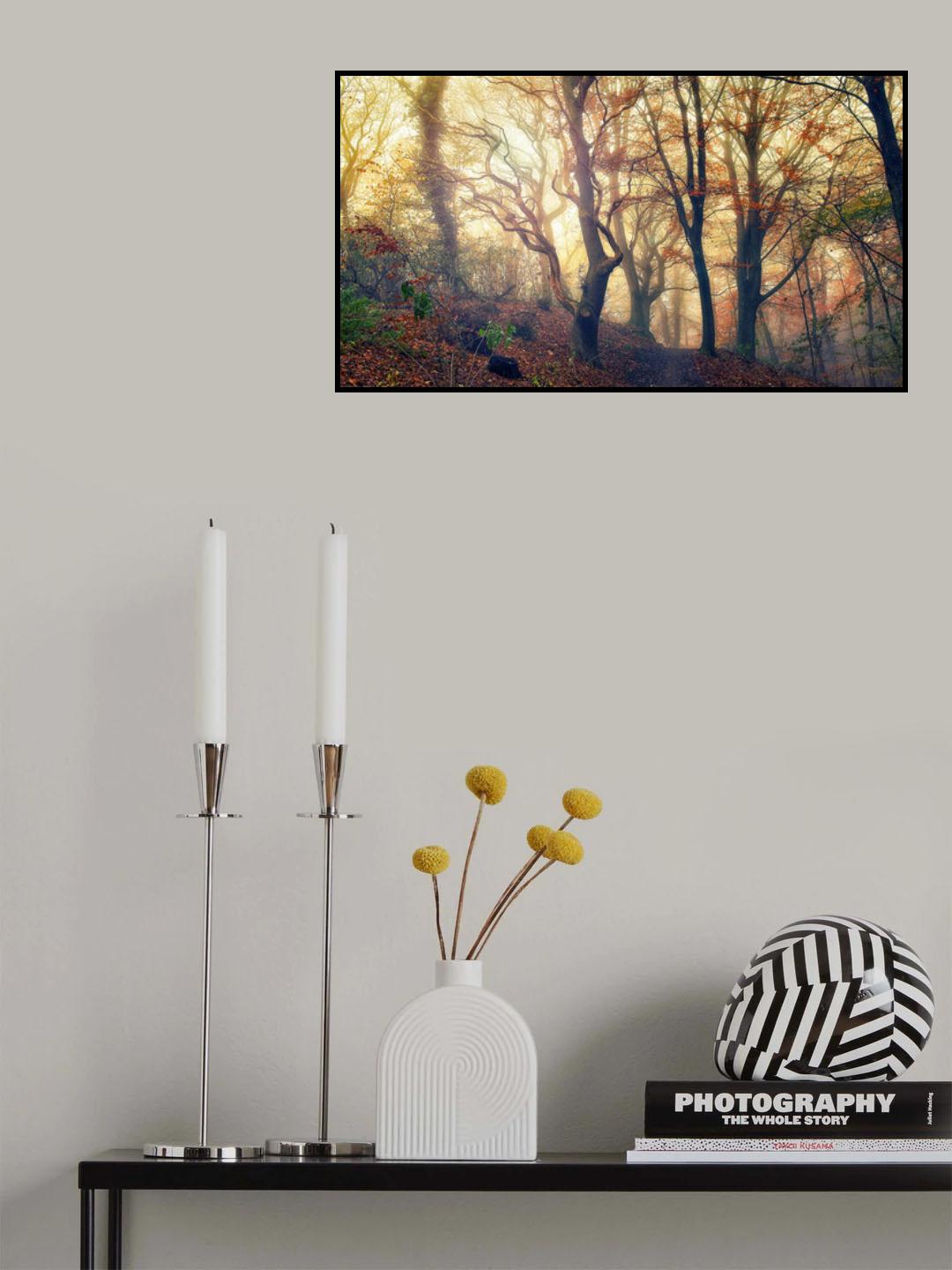 Autumn morning Poster och Canvastavla