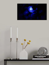 Blue Glowing jellyfish Poster och Canvastavla